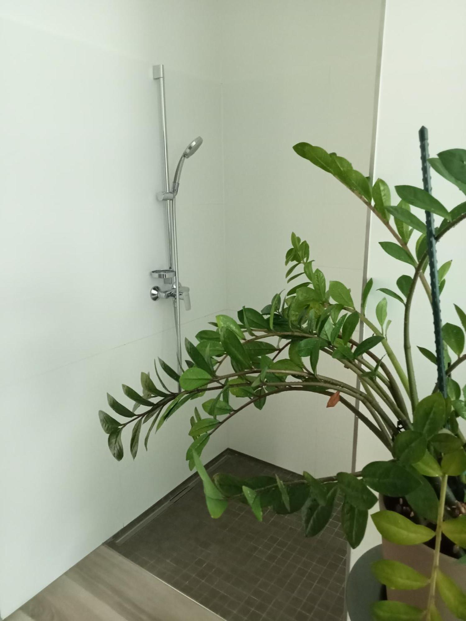 Stadtgruen 1 Appartement